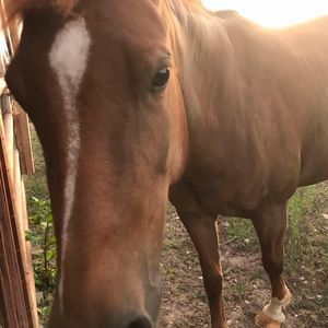 Meet your Posher, Emma